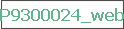 P9300024_web