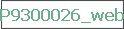 P9300026_web