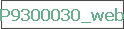 P9300030_web