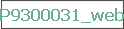P9300031_web
