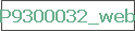 P9300032_web