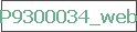 P9300034_web