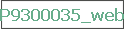 P9300035_web