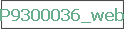 P9300036_web